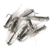 10pcs Lure Artificial Lure With Hook; Small Gray Fish Simulation Soft Bait - No Hook(luminous) - 10pcs